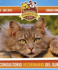 Consultorio Veterinario del sur