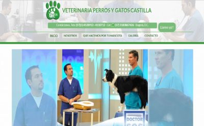 Veterianaria Perros y Gatos Castilla