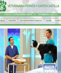 Veterianaria Perros y Gatos Castilla